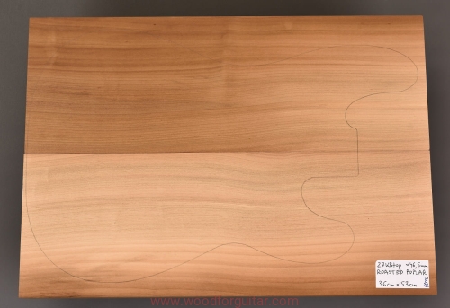 topola-torrefied-poplar-korpus-body-322