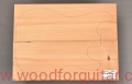 torrefied-spruce-swierk-guitar-gitara-11