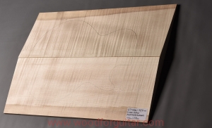 Drewno KLON FALISTY na top gitary lub basu