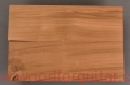 topola-torrefied-poplar-korpus-body-guitar-54