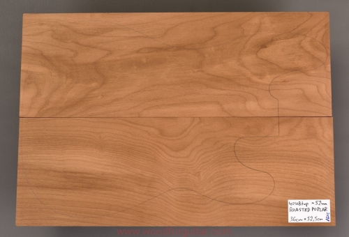topola-torrefied-poplar-korpus-body-guitar-41