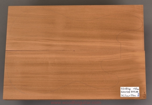 topola-torrefied-poplar-korpus-body-guitar-29