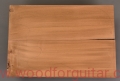 topola-torrefied-poplar-korpus-body-guitar-30
