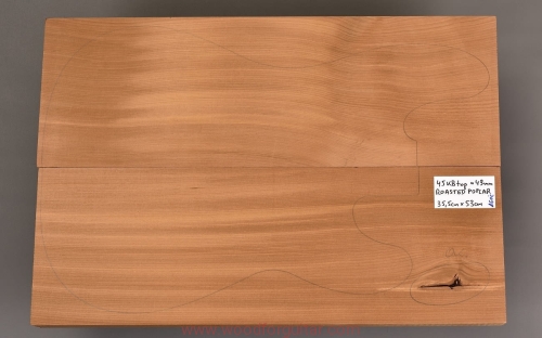 topola-torrefied-poplar-korpus-body-guitar-25