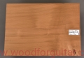 topola-torrefied-poplar-korpus-body-guitar-9