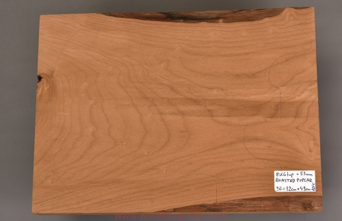 topola-torrefied-poplar-korpus-body-guitar-5
