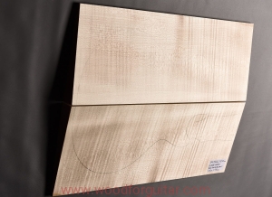 Drewno KLON FALISTY na top gitary lub basu