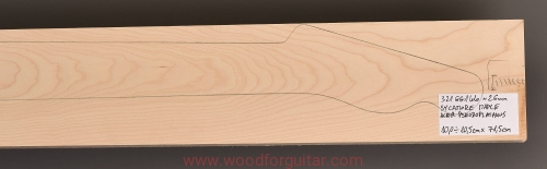 sycamore-jawor-guitar-neck-gryf-33