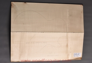 Drewno KLON JAWOROWY na top gitary lub basu