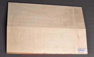 Drewno KLON JAWOROWY na top gitary lub basu