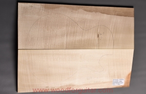 Drewno KLON JAWOROWY na top gitary lub basu