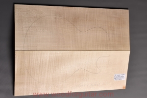 Drewno KLON JAWOROWY na top gitary lub basu