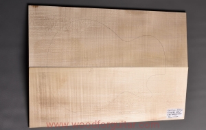 Drewno KLON JAWOROWY na top gitary lub basu