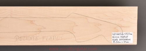 klon-maple-gryf-neck-blank-281