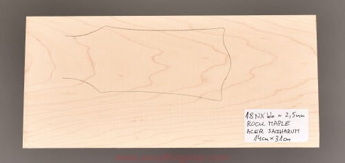 maple-guitar-headstock-facing_3