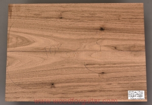BLACK WALNUT guitar body 2-pc top blank, 4 mm