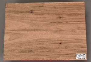 BLACK WALNUT guitar body 2-pc top blank, 4 mm