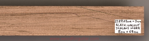 walnut-guitar-neck-1
