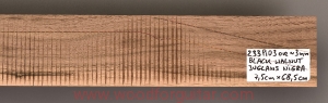 BLACK WALNUT blank for laminated guitar neck, 3 mm