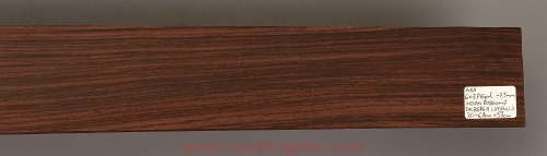 rosewood-fingerboard-guitar-31