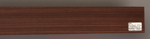 rosewood-fingerboard-guitar-11