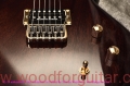Tony-guitar-Body-Front-View-2.jpg