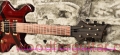 Tweety-guitar-Front-View-2.jpg