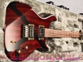 Tweety-guitar-Front-View-3.jpg