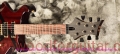 Tweety-guitar-Front-View-6.jpg