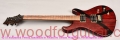 Tweety-guitar-Front-View-12.jpg