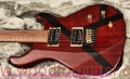 Tweety-guitar-Body-Front-View-1.jpg