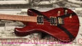 Tweety-guitar-Body-Front-View-2.jpg