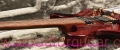 Tweety-guitar-Body-Front-View-3.jpg
