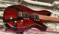 Tweety-guitar-Body-Front-View-4.jpg
