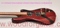 Tweety-guitar-Body-Front-View-9.jpg