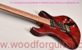 Tweety-guitar-Body-Front-View-10.jpg