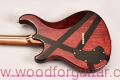 Tweety-guitar-Body-Back-View-3.jpg