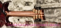 Tweety-guitar-Neck-2.jpg