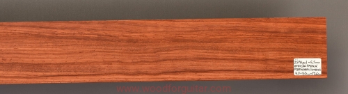 Woodforguitar_padauk_podstrunica_gitary_121