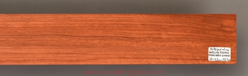 Woodforguitar_padauk_guitar_fingerboard_blank_101
