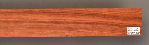 Woodforguitar_padauk_guitar_fingerboard_blank_051