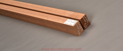 Woodforguitar_mahon_gryf_gitary_bass_031