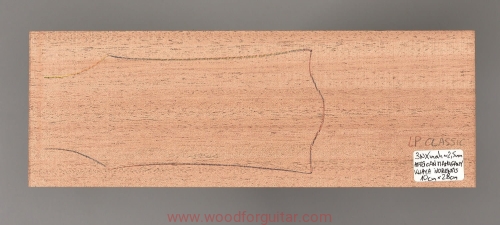 woodforguitar_205headstock.JPG