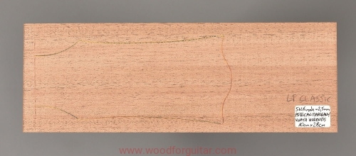 woodforguitar_201headstock.JPG