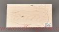 woodforguitar_211headstock.JPG