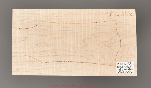 woodforguitar_217headstock.JPG