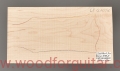 woodforguitar_219headstock.JPG