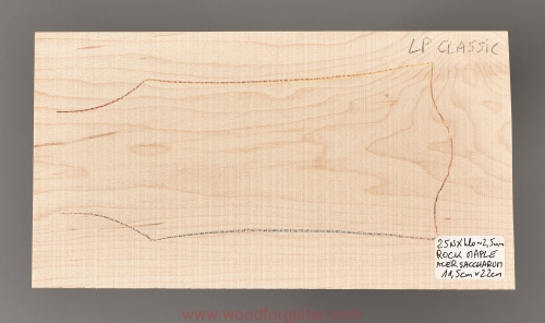 woodforguitar_219headstock.JPG