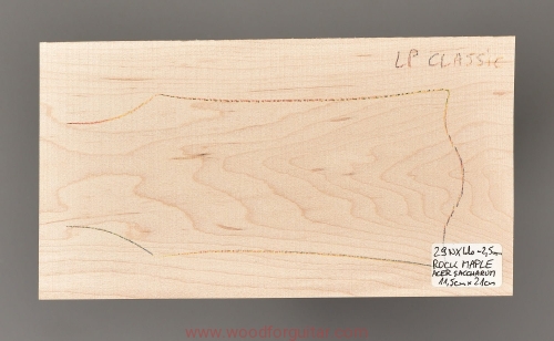 woodforguitar_227headstock.JPG