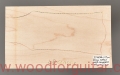 woodforguitar_243headstock.JPG